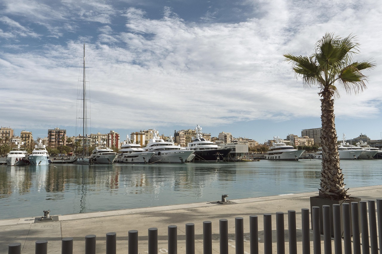Healthcare Services in Doha: Public & Private Guide